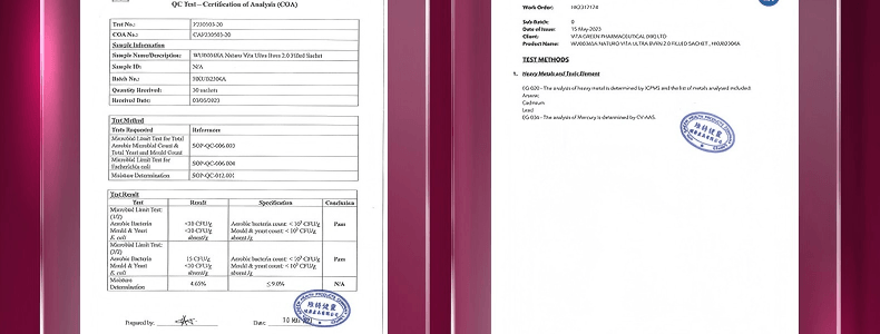VITA GREEN維特健靈 極燒脂 脂肪燃燒 提高新陳代謝【加速代謝神器】促進糖油排出 燃出好身材