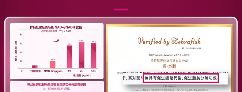 VITA GREEN維特健靈 極燒脂 脂肪燃燒 提高新陳代謝【加速代謝神器】促進糖油排出 燃出好身材