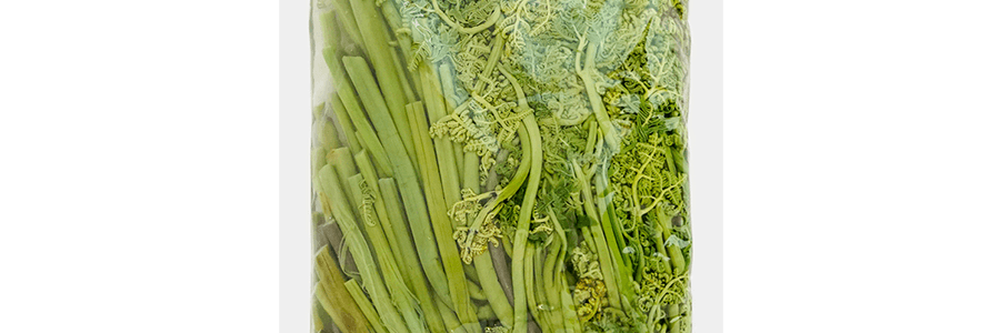 綠野 免洗清水蕨菜 300g【可涼拌涮火鍋炒菜】