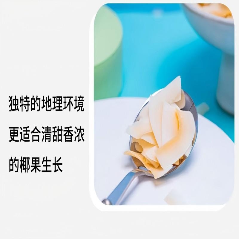 【中國直郵】 新邊界 椰子脆片海南特產原味椰子片即食零食烤椰子肉薄脆椰果乾食品小吃休閒零食200g