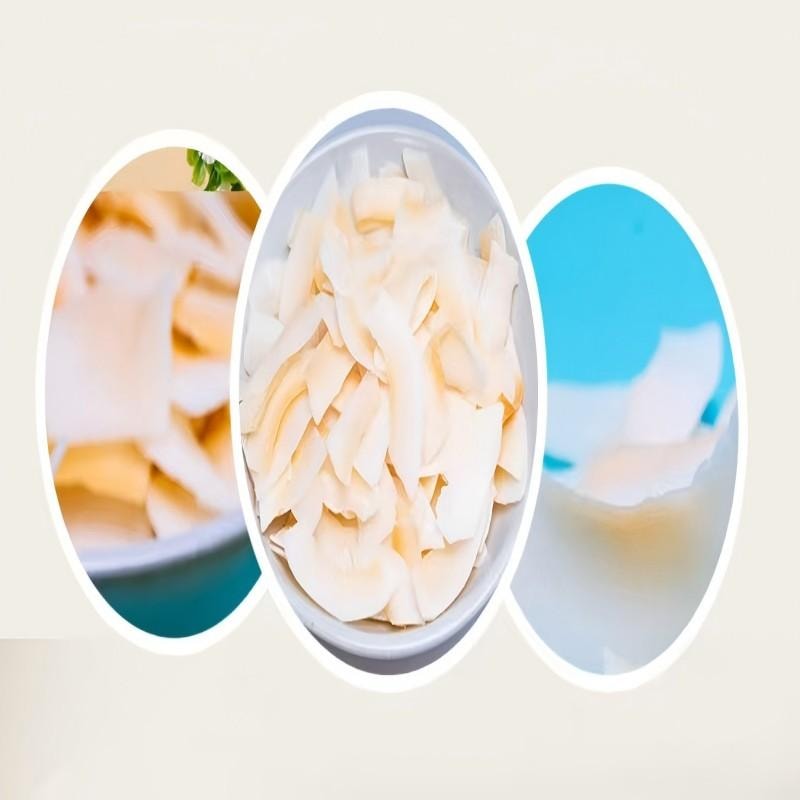 【中國直郵】 新邊界 椰子脆片海南特產原味椰子片即食零食烤椰子肉薄脆椰果乾食品小吃休閒零食200g