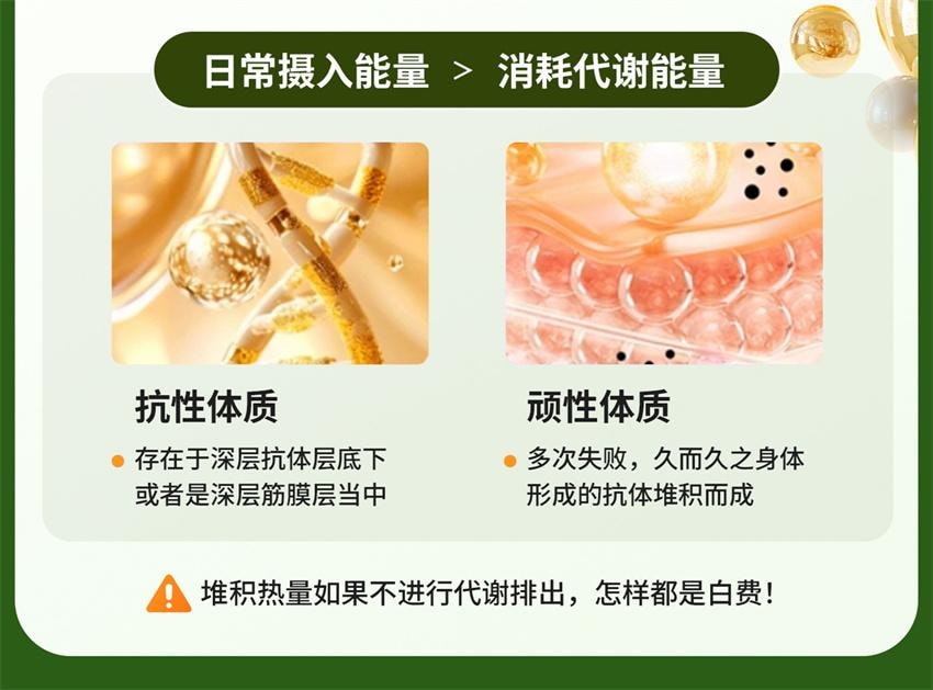 【中国直邮】巧膳臣 茶多酚荷叶胶囊 大肚腩神器暴饮暴食懒人掉秤阻脂 0.4g*36粒/盒【推荐拍5盒】