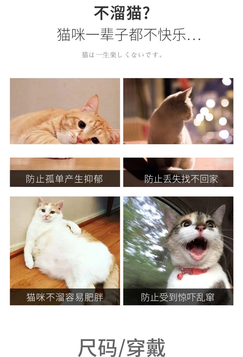 【中国直邮】尾大的喵 宠物牵引绳 灰色点点L码 宠物用品