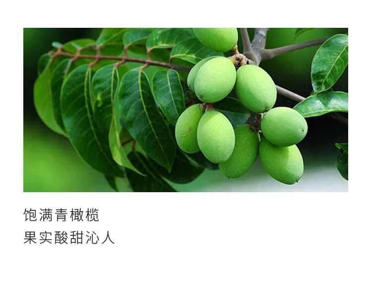 [中國直郵] 來伊份LYFEN清香橄欖果 蜜餞果脯開袋即食70g/袋