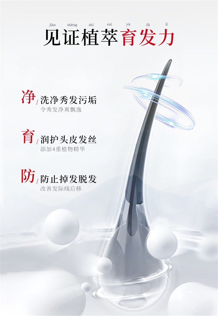 【中国直邮】白黑客 防脱育发洗发露人参 侧柏叶 何首乌 固发育发滋润营养植萃洗发水 15mI*10片/盒