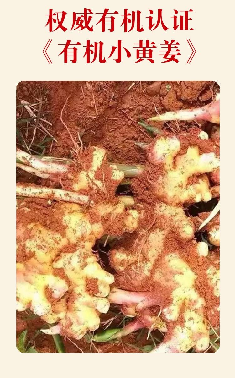 远方好物 【想真 有机红糖姜粉10gX8/盒】 有机食材 云南有机小黄姜+有机红糖 暖身养胃不烧心