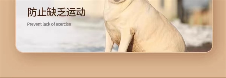 【中国直邮】FOXTAIL 宠物交流按钮 按键发声训练器 吃饭+出去玩两件套 丨*预计到达时间3-4周