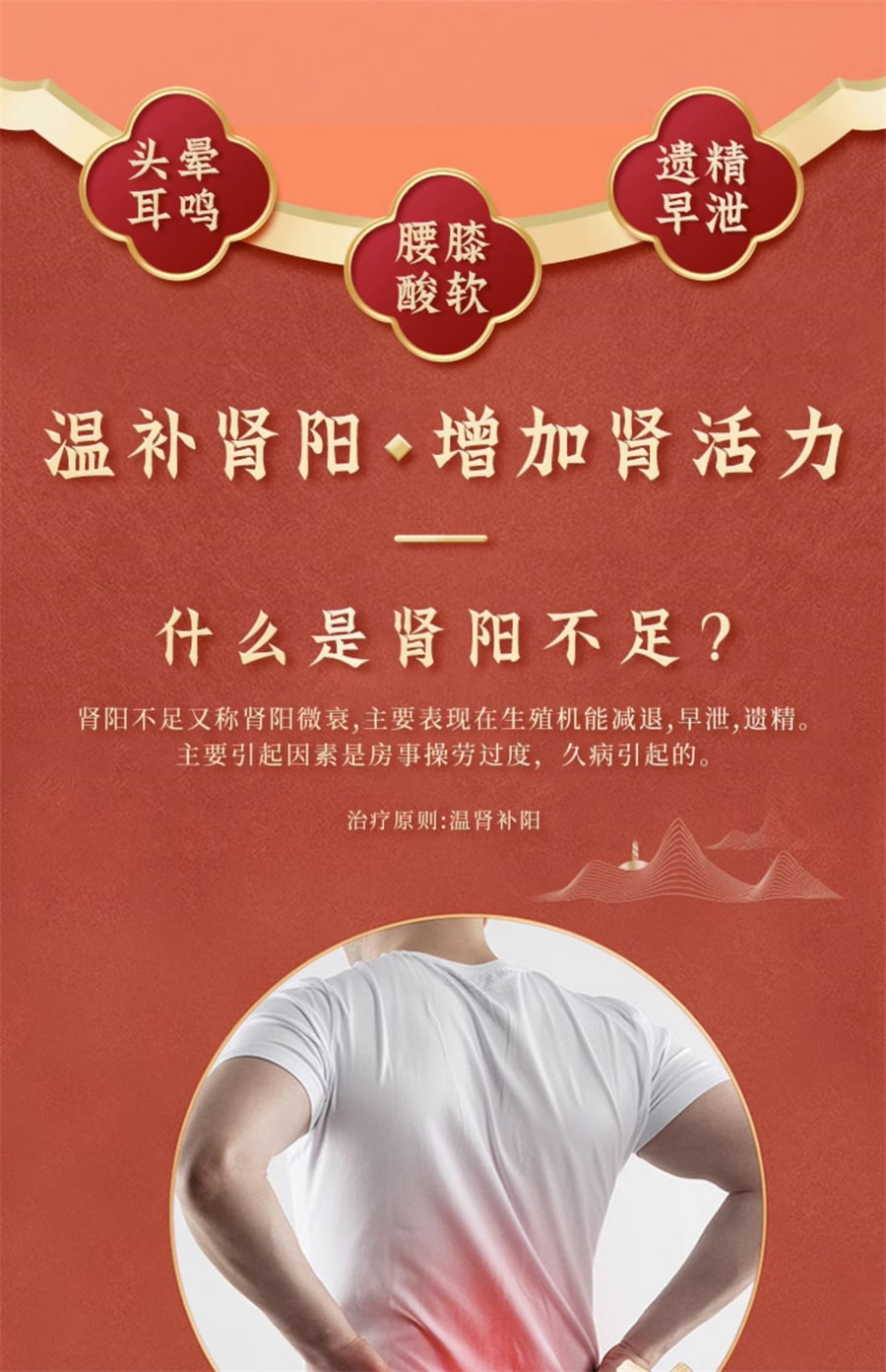 【中國直郵】白雲山 鎖陽固精丸治早洩男性房事敏感時間短腎陽不足虛汗腰膝酸軟頭暈耳鳴遺精早洩 9g*10丸 x 1盒 (建議拍三盒)