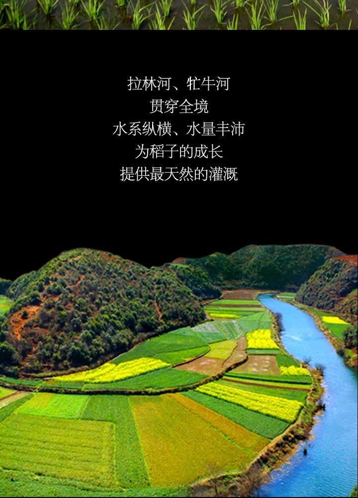 【中國直郵】 水月秦淮 五常米 2.5kg 優質稻花香 軟糯甜東北米