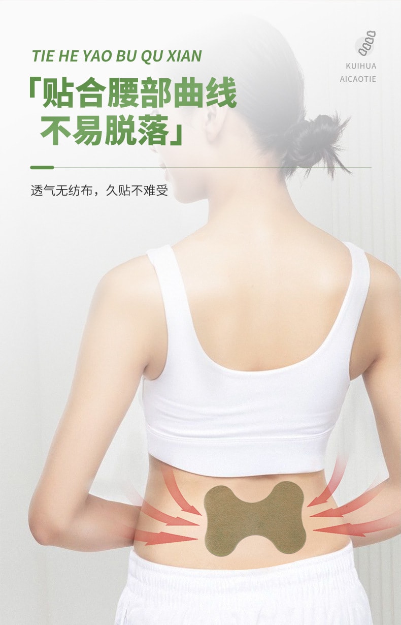 中國 葵花藥業 艾草腰椎貼 溫效腰椎貼 緩解腰椎疼痛 溫經活絡 10片裝
