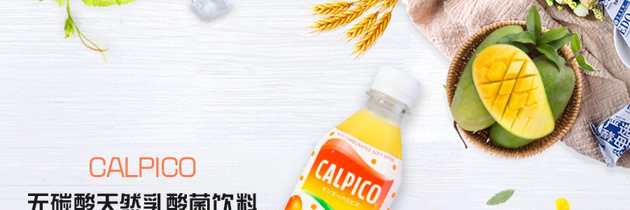 【超值分享裝】日本CALPICO 無碳酸天然乳酸菌飲料 芒果口味 500ml*12瓶裝