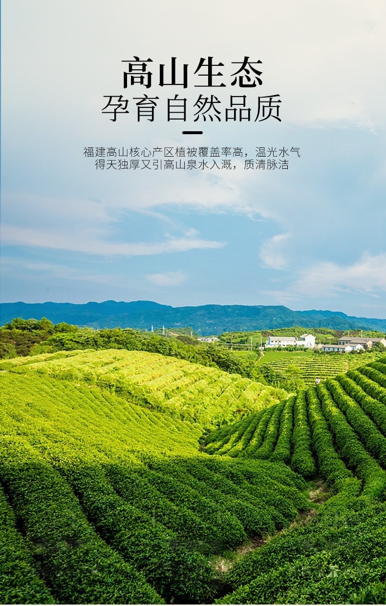 正养堂 本草银耳羹 80克  加量不加价 低温烘干 一碗只需两克