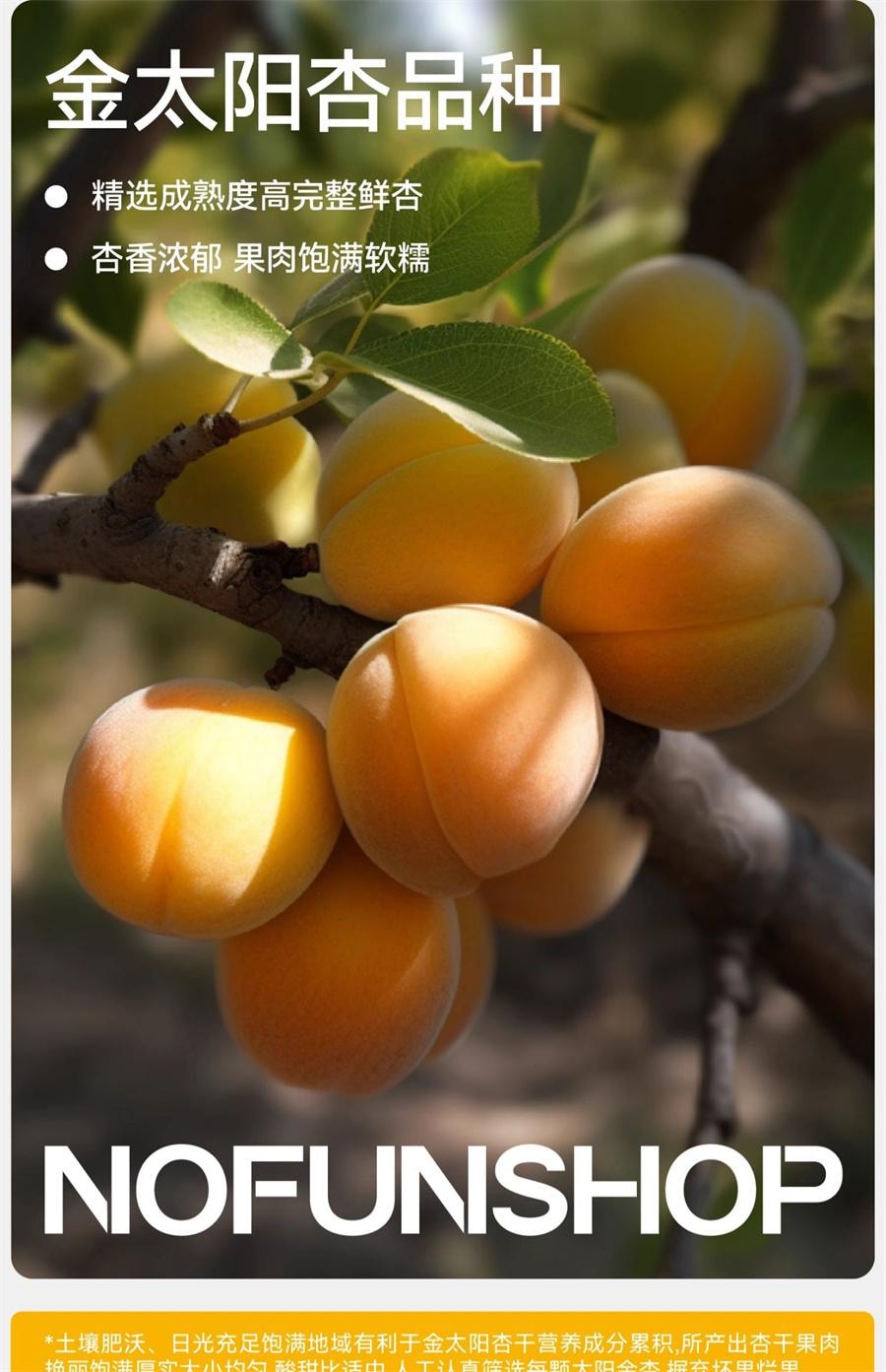 【中国直邮】  无趣的店 阳光金杏干 杏脯果干果脯办公室追剧解馋健康小零食80g/袋