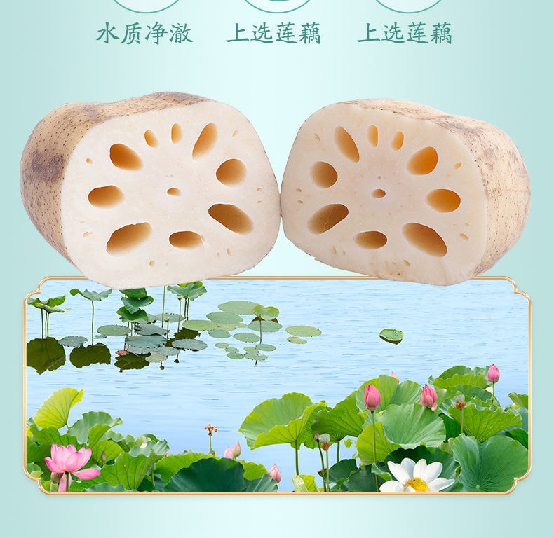 【中国直邮】北京同仁堂  每日坚果水果藕粉羹代餐粉藕粉   350g/罐