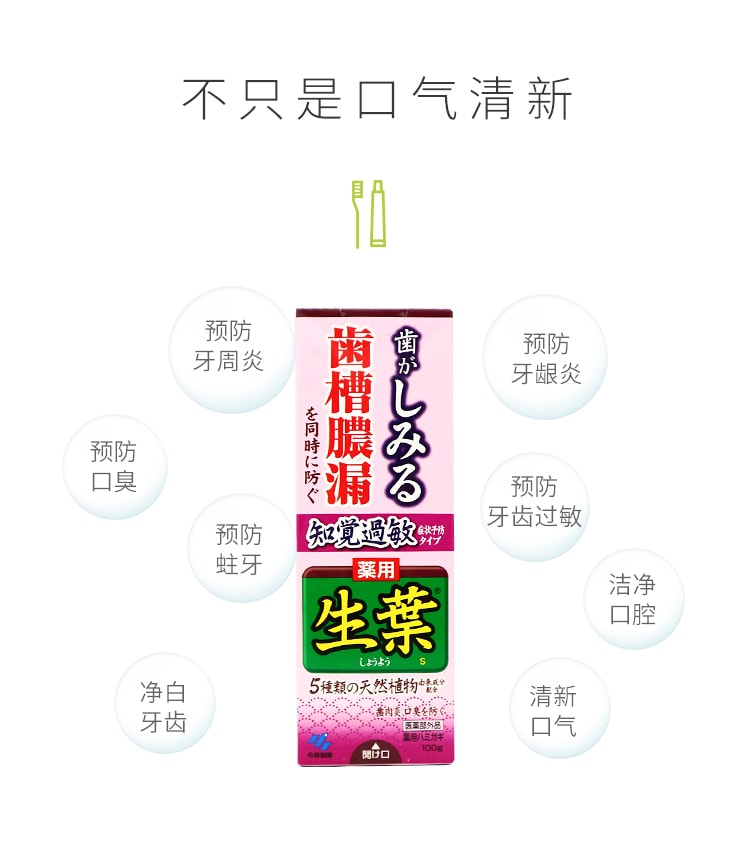 【日本直郵】日本KOBAYASHI 小林製藥 生葉天然植物牙膏 有效防止牙痛過敏 紅色裝 100g