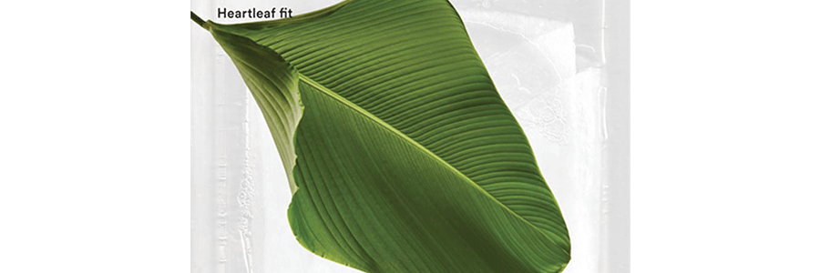 韓國ABIB阿彼芙 小綠葉弱酸魚腥草面膜 植物萃取 10片入 鎮定舒緩 維穩修護 降溫去紅 改善泛紅 長效保濕 清爽不黏膩 敏感肌可用