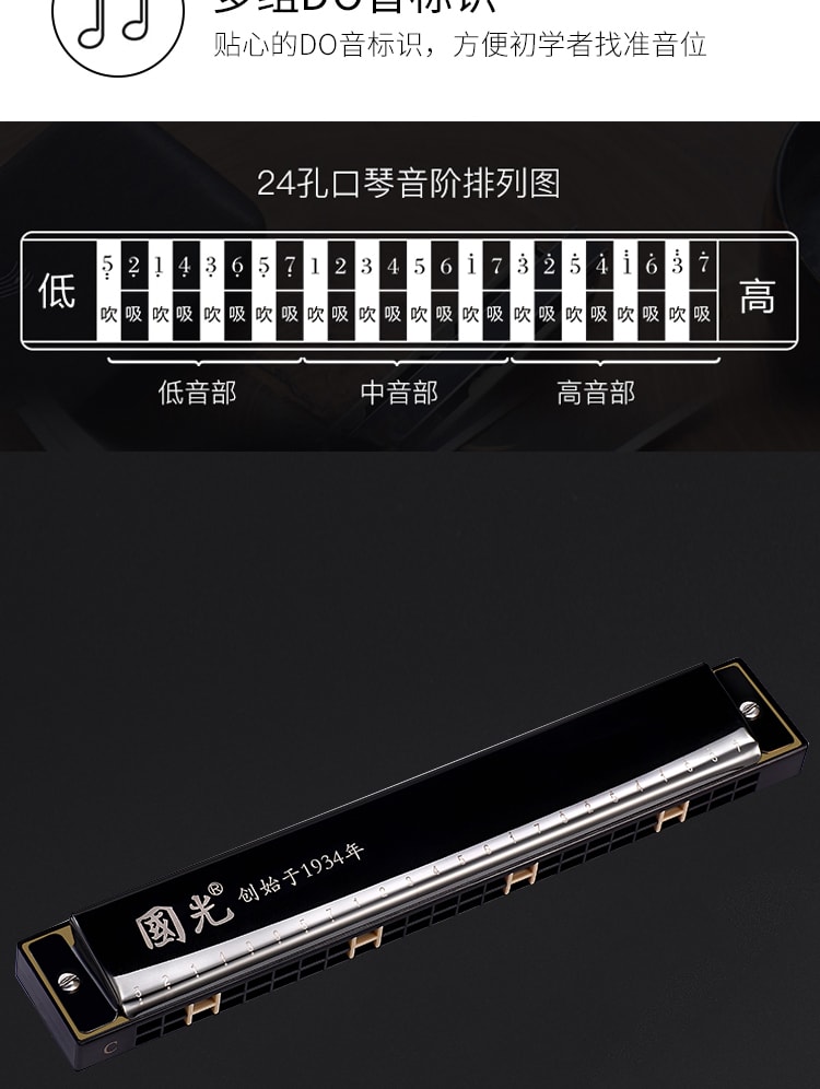 【中國直郵】國光 口琴24孔複音C調初學者入門 星空銀