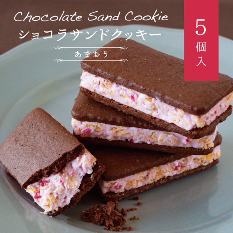 【日本直郵】日本博多特產 AMAOU 草莓鮮奶夾心巧克力餅乾 5枚裝