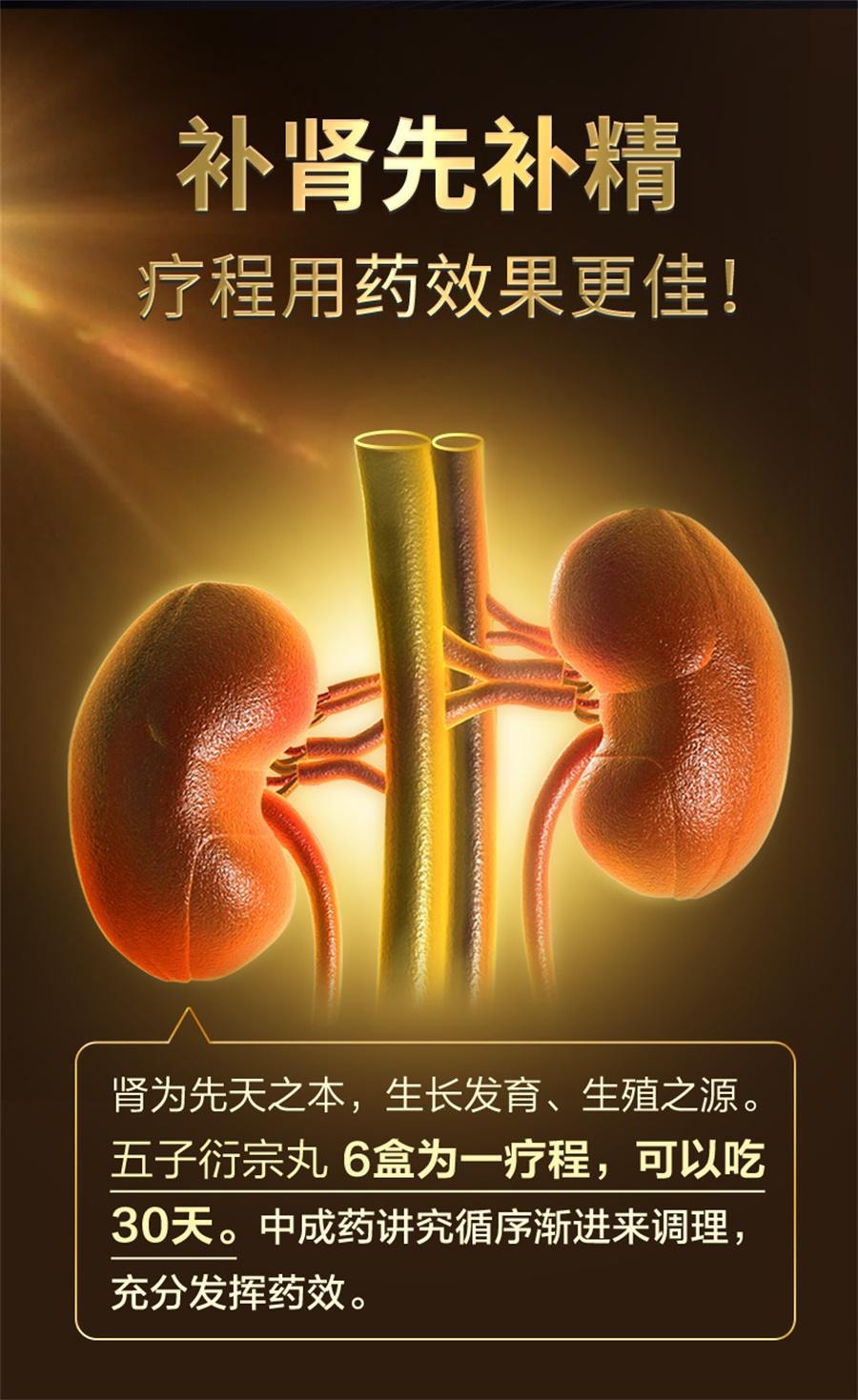 【中國直郵】 仲景 五子衍宗丸 陽痿早洩男士補腎固精強腎藥伍子銜宗丸洩宗丸60g*1瓶/盒