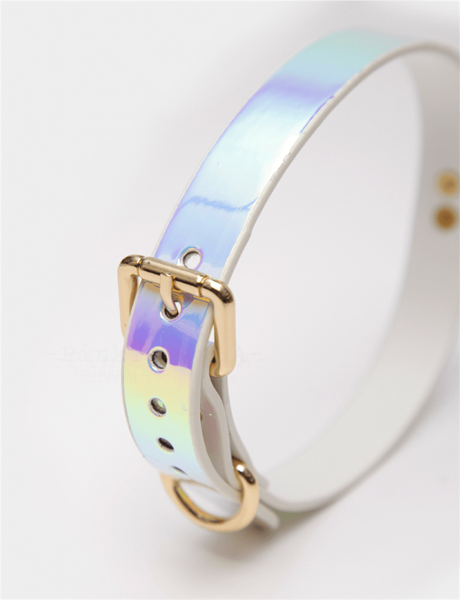 BDSM Iridescent Professional Training Bondage Set with Lead Chain and Paddle