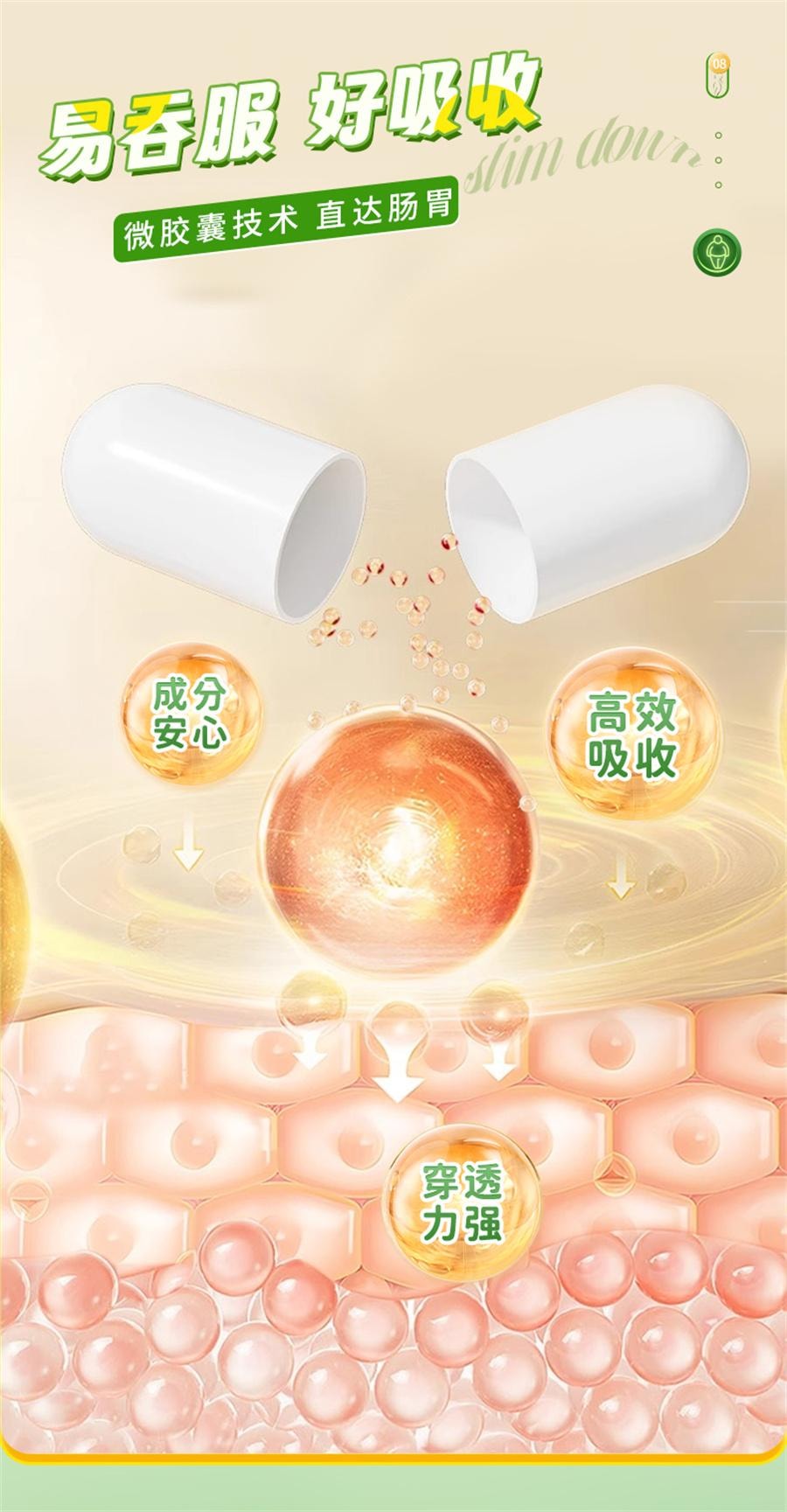 【中國直郵】 九芝堂 長興牌左旋肉鹼茶多酚膠囊 減肥排油燃脂瘦身肚子大肚腩減小腹神器左旋肉鹼40粒/瓶