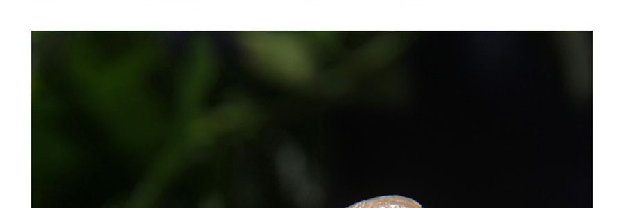 ROXY馬牌 精選特級桂圓肉 170g