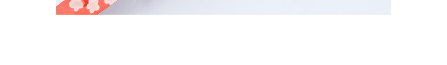 日本IFACTORY 梅子片 14g