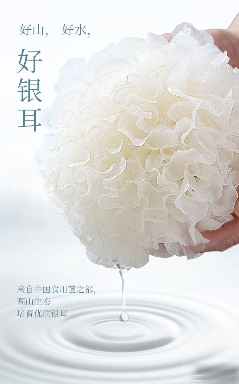 细珠妈妈 高山生态有机本草银耳 40克 一口都不将就