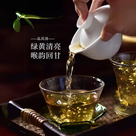 中國【天福茗茶】龍騰萬里  普洱茶生餅 禮盒 485g