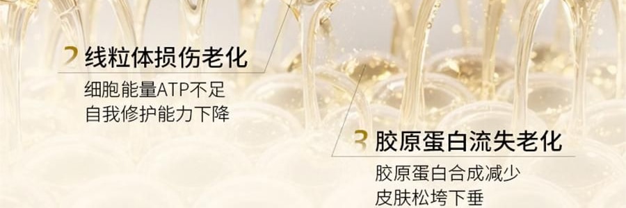 VOOLGA敷爾佳 抗皺緊緻人參水油次拋精華 1.5ml*30支 水油同補 細胞級抗皺紋 敏感肌適用 根源直擊疲垮臉