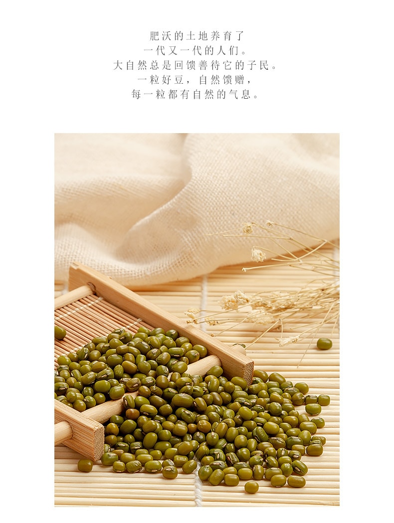 SUNWAY美食 特级澳洲绿豆 350g 五谷杂粮 粥材料 粗粮