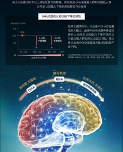 【日本直邮】日本 MEIJI明治制药 DHA Plus 专利技术制造DHA鱼油粉末 90粒装 个年龄层育脑健脑需求