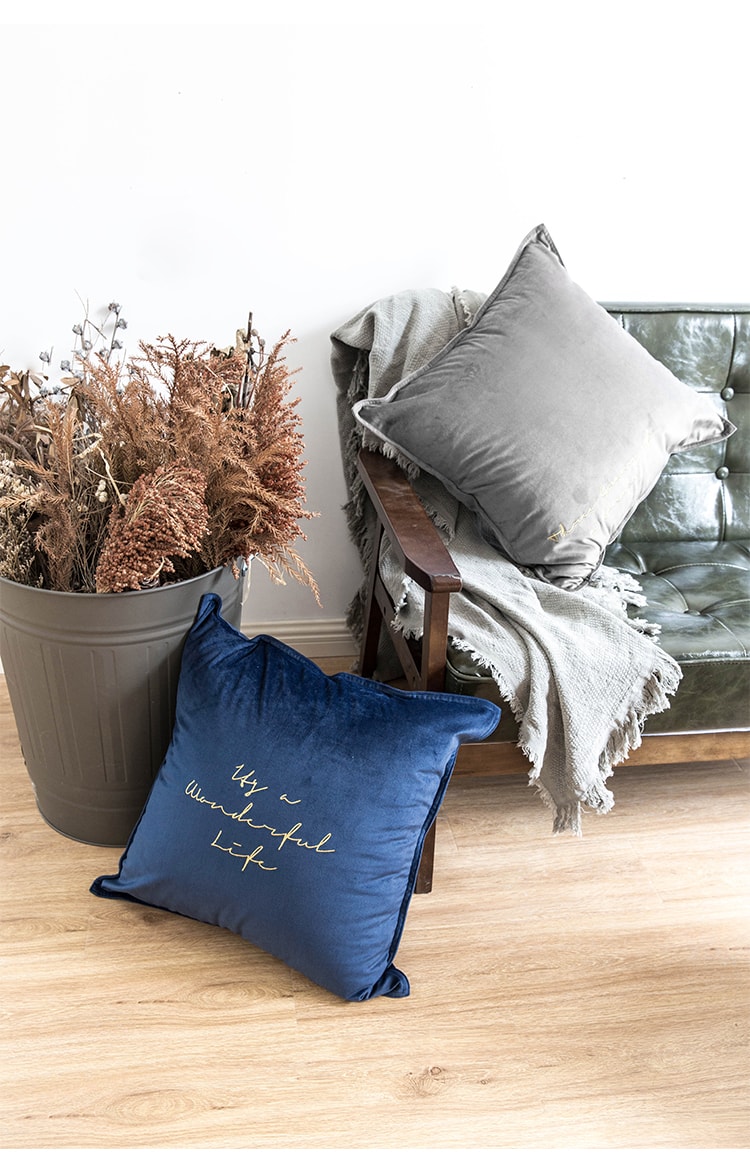 述物ins北欧风丝绒抱枕客厅卧室正方形沙发靠垫床头腰靠枕套-蓝色