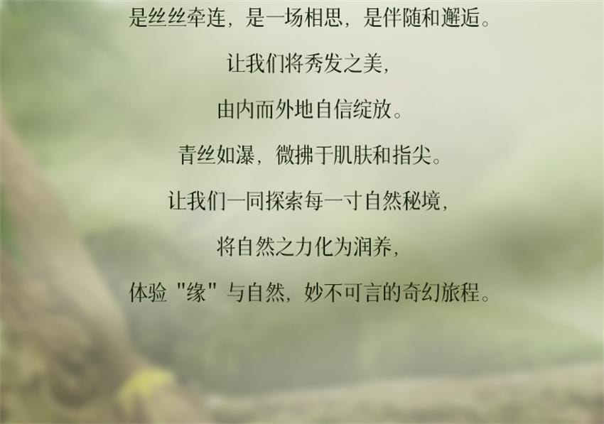 【中国直邮】 固然堂 控油蓬松免洗洗发水 持久控油蓬松净爽便携吸油速干啫喱 80g/支【懒人出门必备】