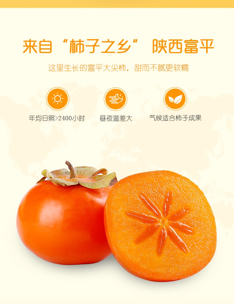 [中国直邮]百草味 柿子方了陕西富平吊柿饼70g 