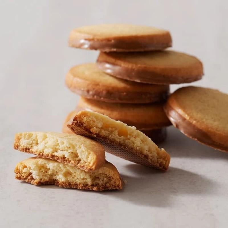 日本 Yoku Moku 牛奶巧克力 坚果饼干 16枚入