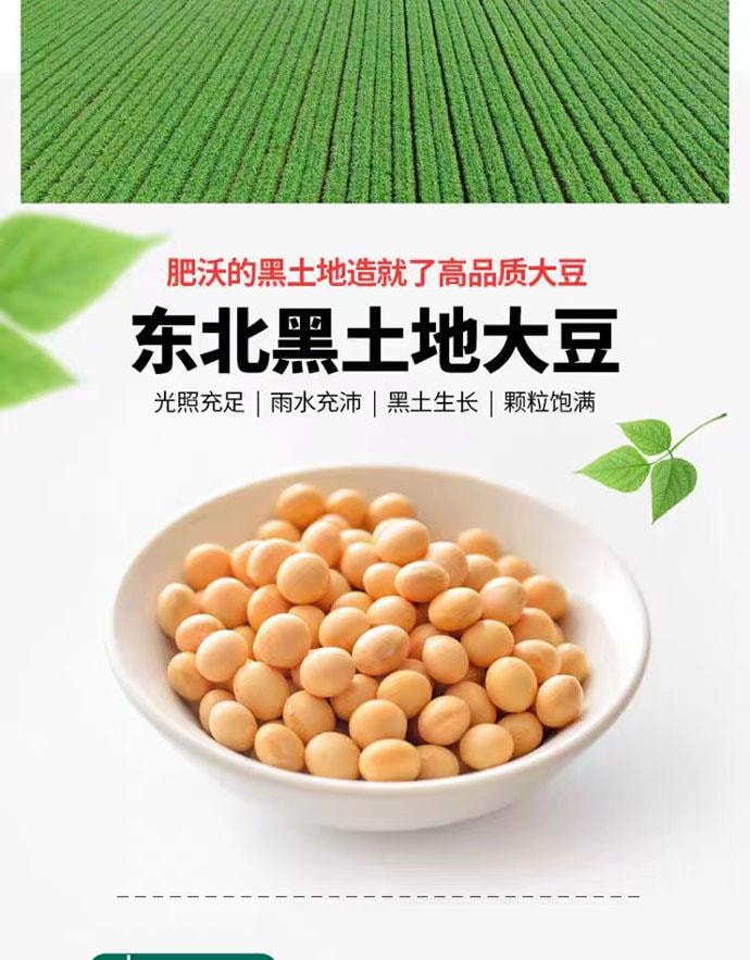 【中國直郵】 田泉 大豆醬 東北大醬調味醬90g*5袋