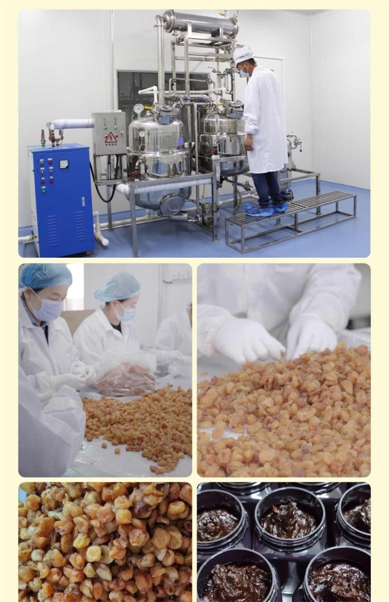 【中国直邮】  云娘食记 西洋参玉灵膏 蒸制黑参气正品血双补桂圆龙眼肉玉林 300g*1罐