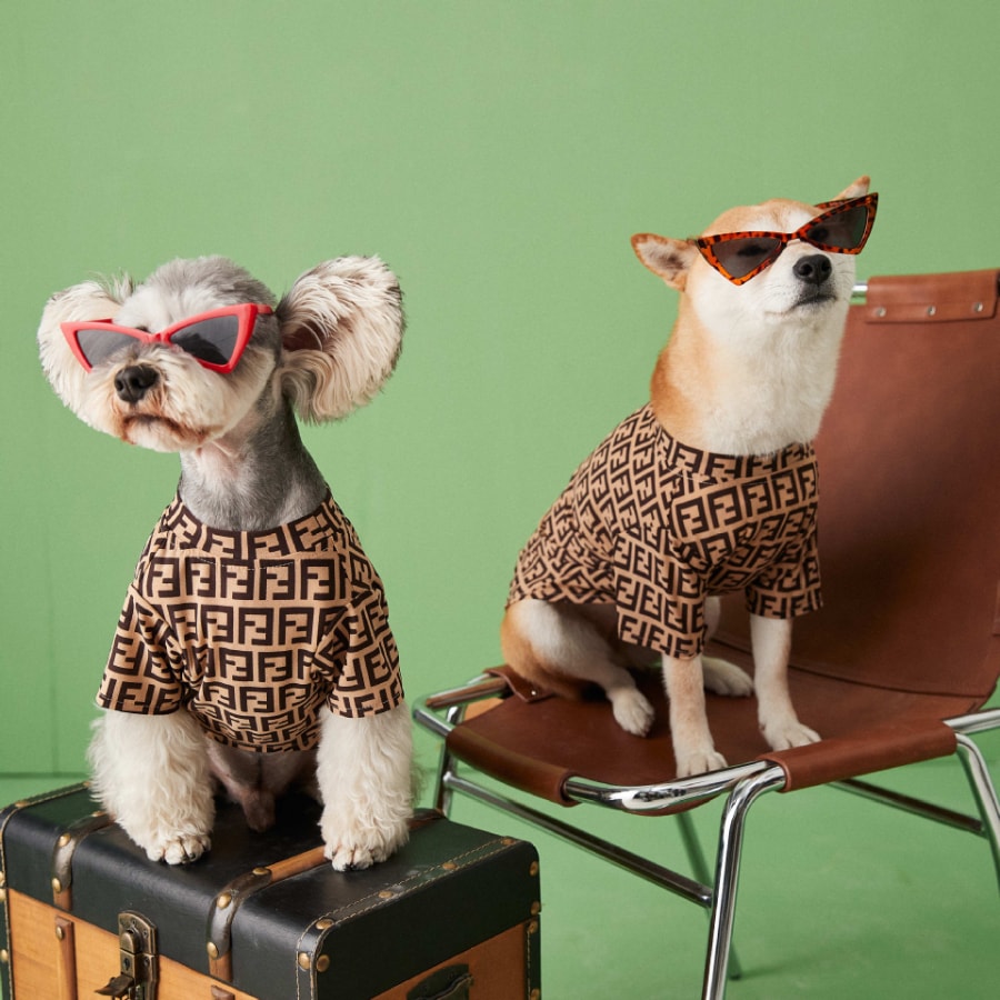 TAWNEY BESR 狗狗衣服夏装薄款透气防掉毛泰迪雪纳瑞博美比熊柴犬T恤短袖 #S