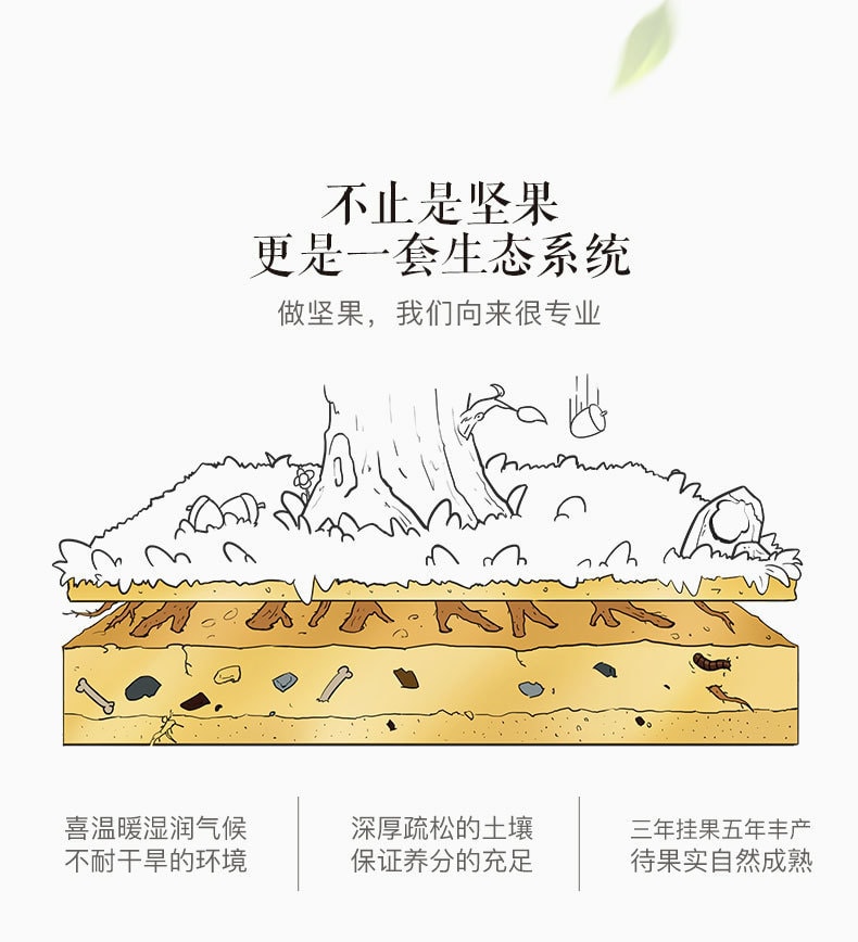 【中国直邮】三只松鼠 碧根果 休闲健康零食坚果奶油味长寿果干 120g/袋