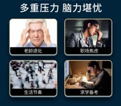 【日本直邮】日本 MEIJI明治制药 DHA Plus 专利技术制造DHA鱼油粉末 90粒装 个年龄层育脑健脑需求