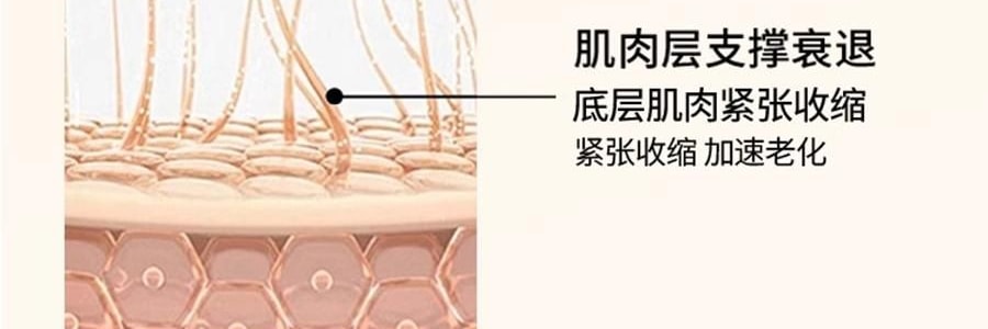 韩国HEXKIN赫诗琴 童颜胶原炮蛋白灌注面膜 赋颜水润胶原蛋白凝胶面膜 5片 黄色 紧致抗皱保湿 细腻水光肌 点亮熬夜肌