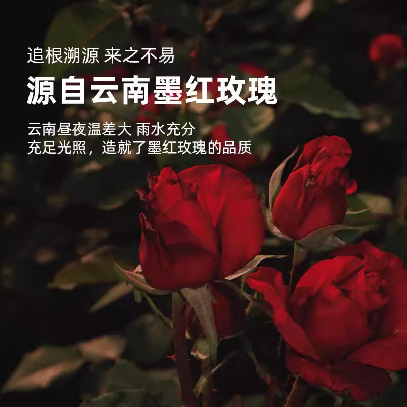 中国 滇二娃 花青素之王 刘亦菲美颜茶 墨红玫瑰 当季特级云南冻干大花冠 可冷泡热泡 可配果茶 农科院支持 一杯一朵花 30克