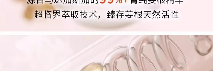 KÉRASTASE卡詩 元氣薑粉瓶生薑洗髮水 沁透洗髮精 無矽油 氨基酸 500ml 48H長效控油 強韌髮絲 改善斷髮掉髮【發量感爆蓬】【NO.1】