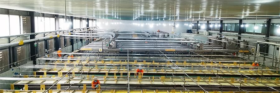 时朴 石屏腐竹 420g【云南特产】【色泽自然豆味醇香】【可炒菜涮煮凉拌】