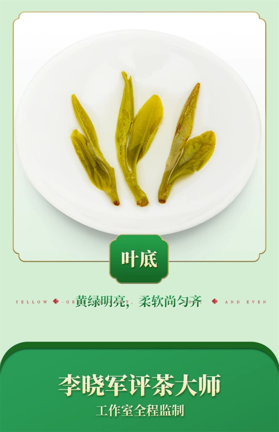 【中国直邮】艺福堂 龙井茶杭州绿茶250g 减少口臭 减肥养颜