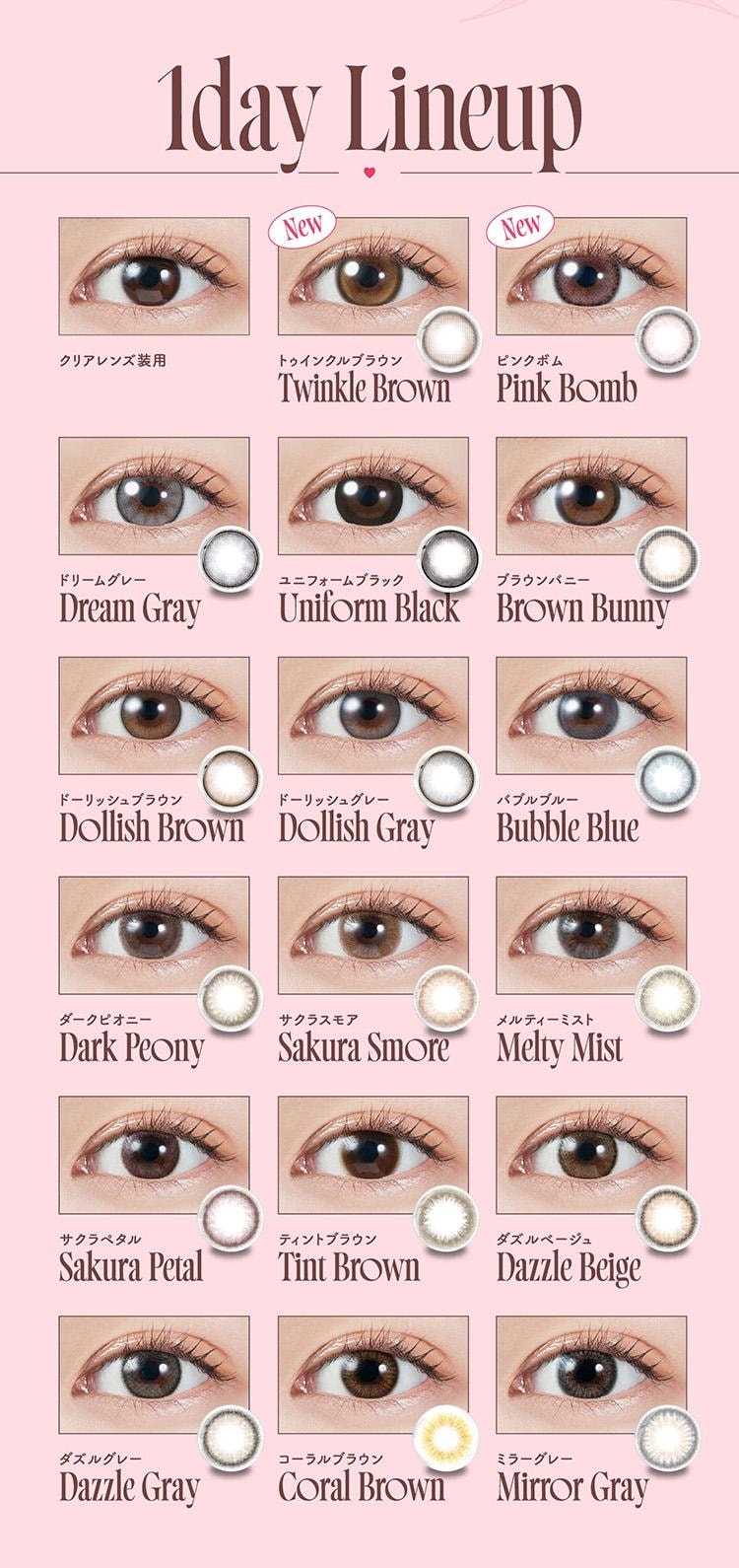 【日本直郵】日本 MOLAK 日拋美瞳 10片裝 Twinkle Brown 星耀琥珀(棕色系 ) 著色直徑13.8mm 預定3-5天日本直發 度數 -1.75(175)