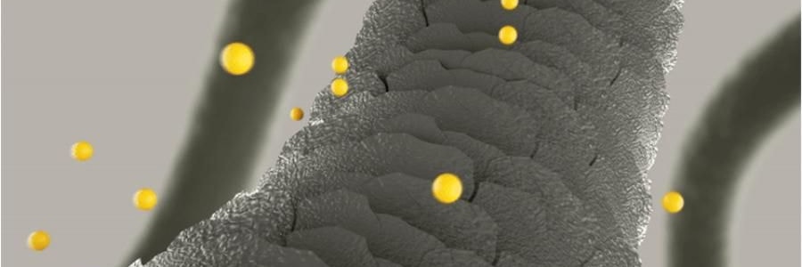 韩国GRABITY 防脱固发洗发水 加强型 475ml​​ 缓解脱发 极细发质/短发专研