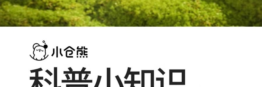小仓熊 室内持久空气清新剂 晶珠香氛香薰 卫生间香氛 栀子与清茶