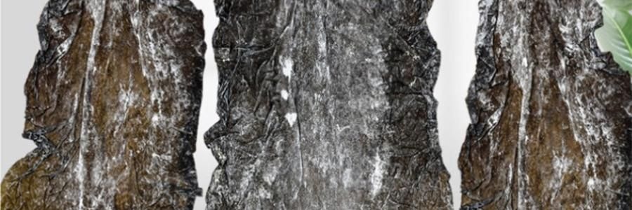 時樸 有機海帶 500g【煲湯火鍋食材】